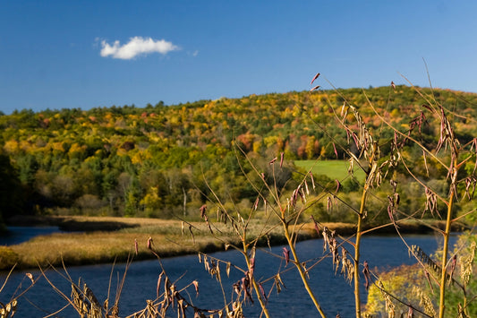 Largest SEC-Registered Investment Advisors (RIAs) in Vermont